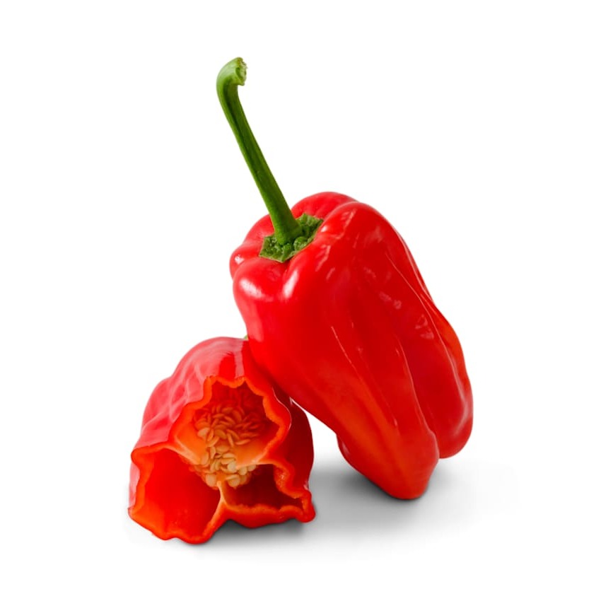 Pimenta de Padrón