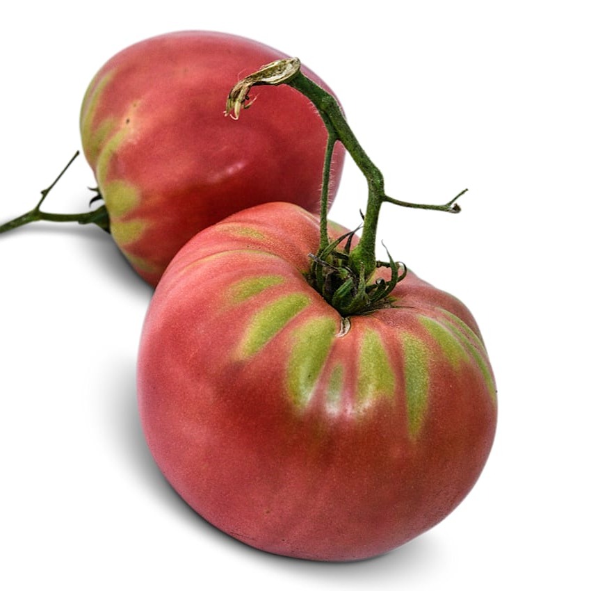 Tomate