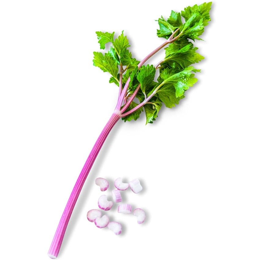 Aipo Chinês Rosa