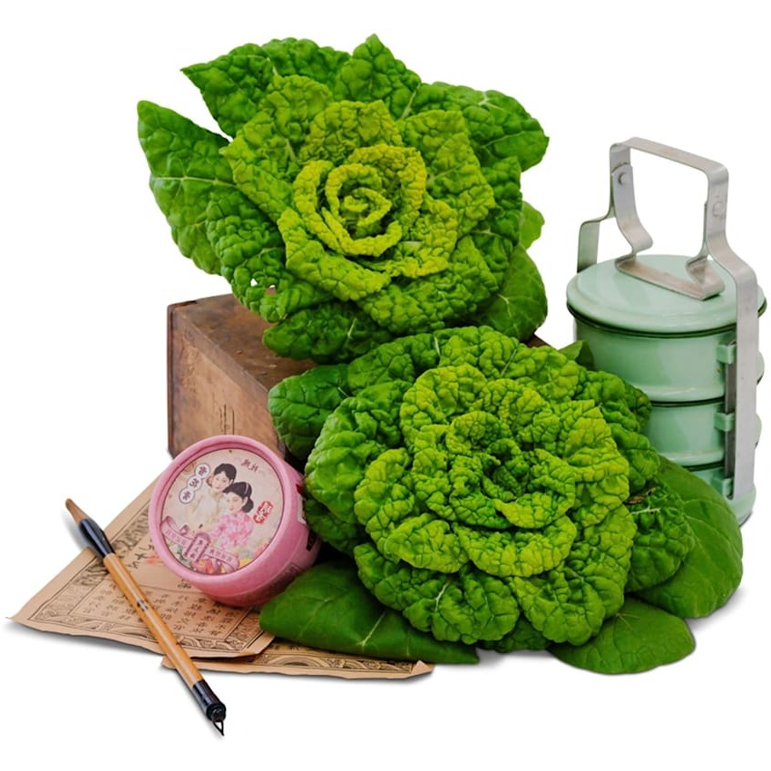 Bok Choy Coração Dourado de Inverno