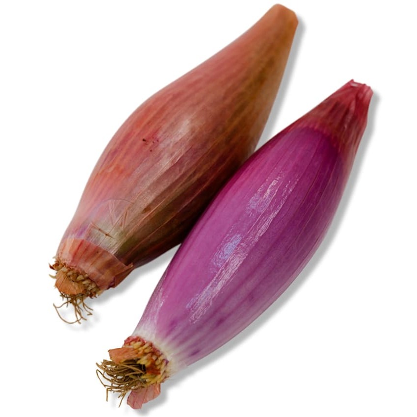 Cebola Roxa de Florença