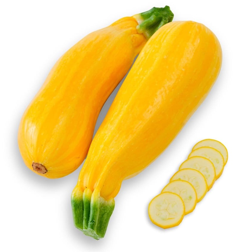Abobrinha Dourada
