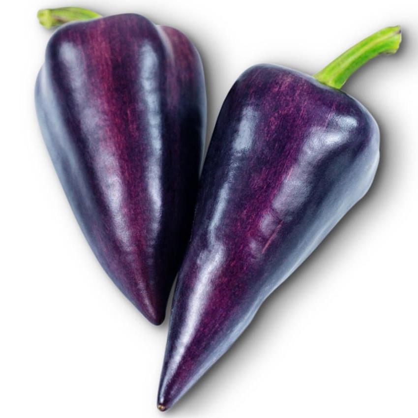 Pimentão Dolce Violet Sparkle