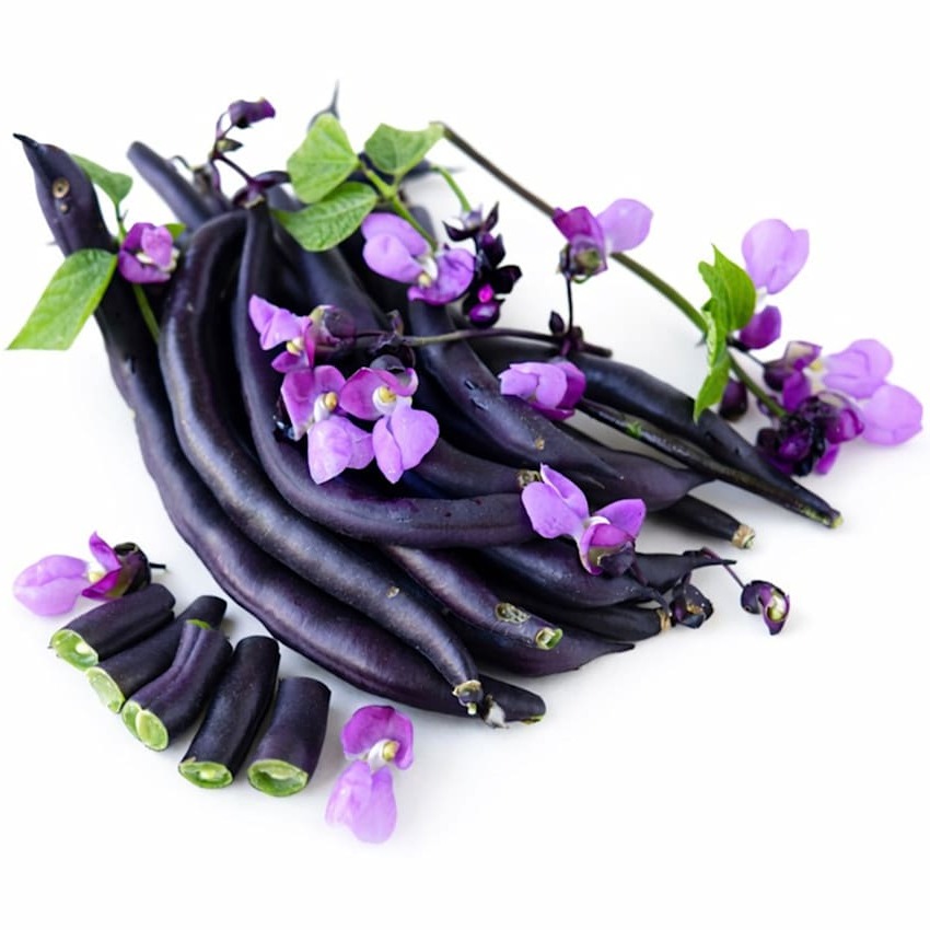Feijão-Vagem Anão Purple Teepee