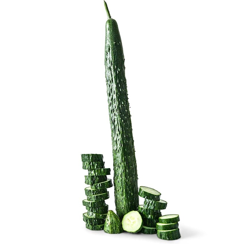 Pepino Suyo Long