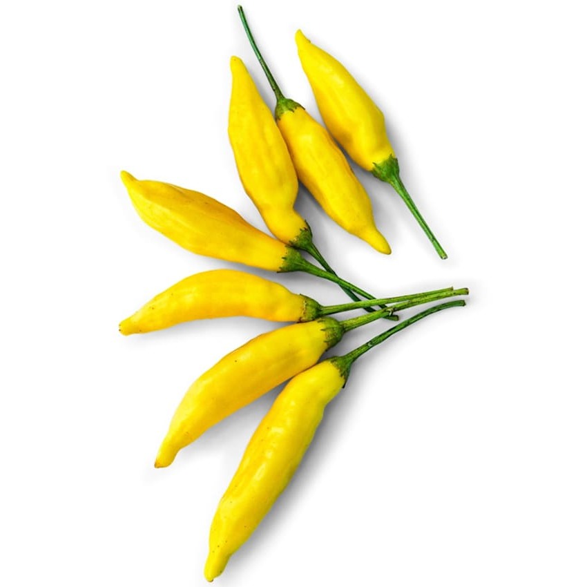Pimenta Lemon Drop