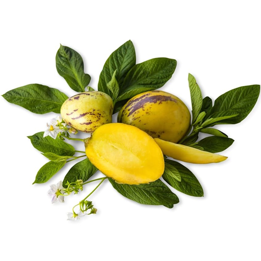Pepino-Doce