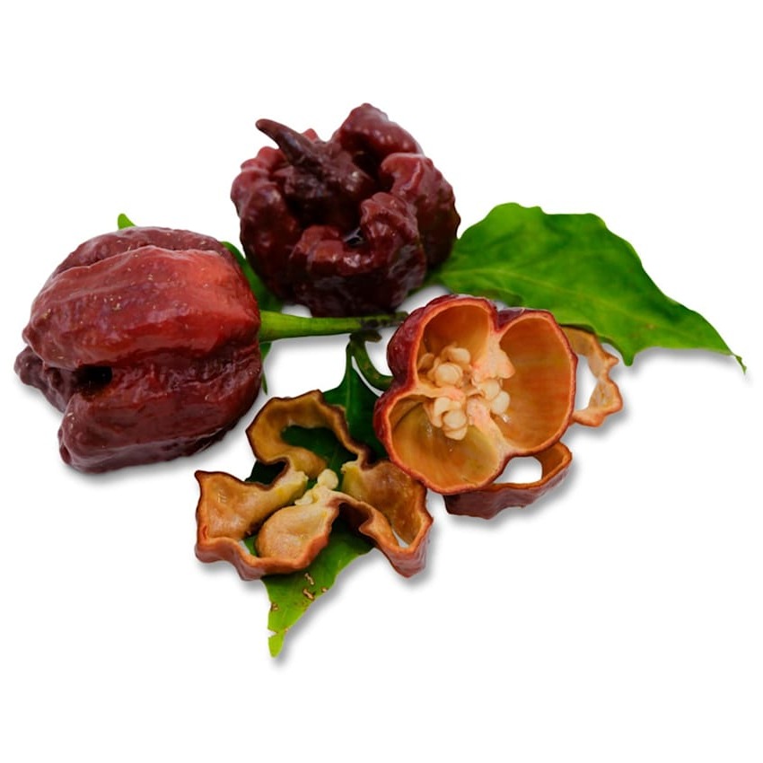 Pimenta Chocolate Seven Pot