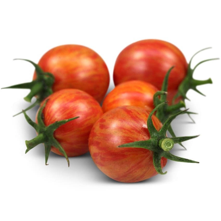 Tomate Pink Bumble Bee
