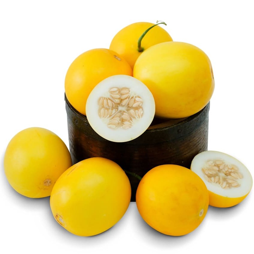 Melão Mango (Vine Peach)