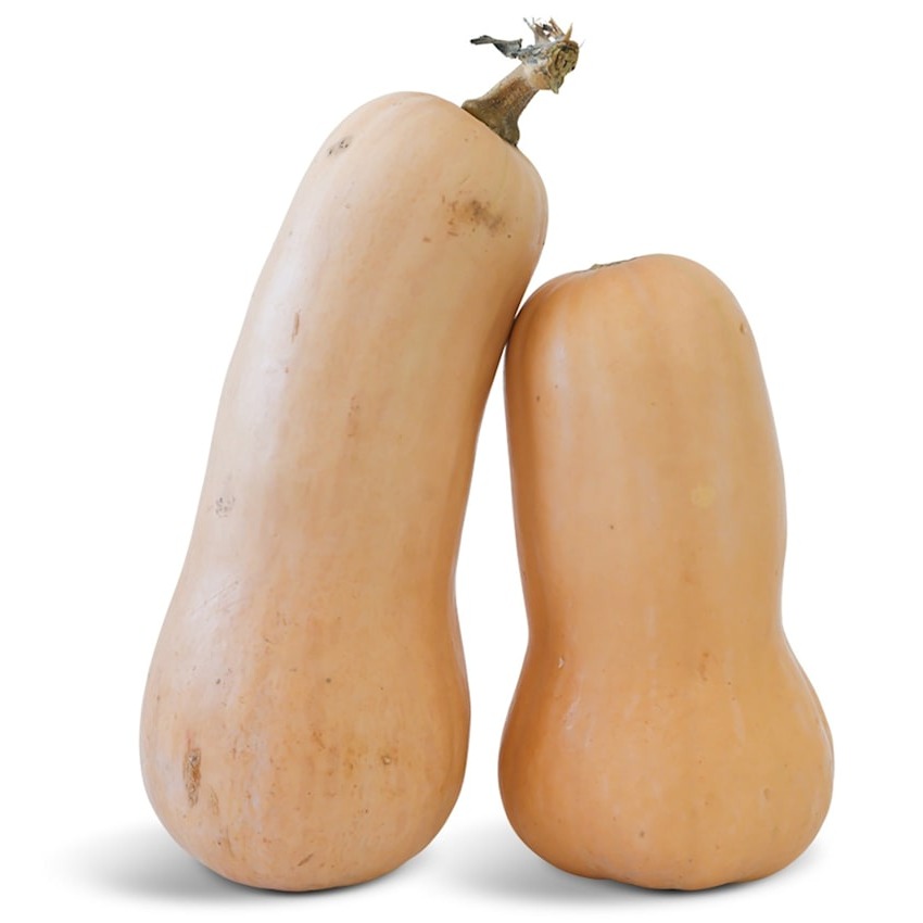 Abóbora Butternut Waltham