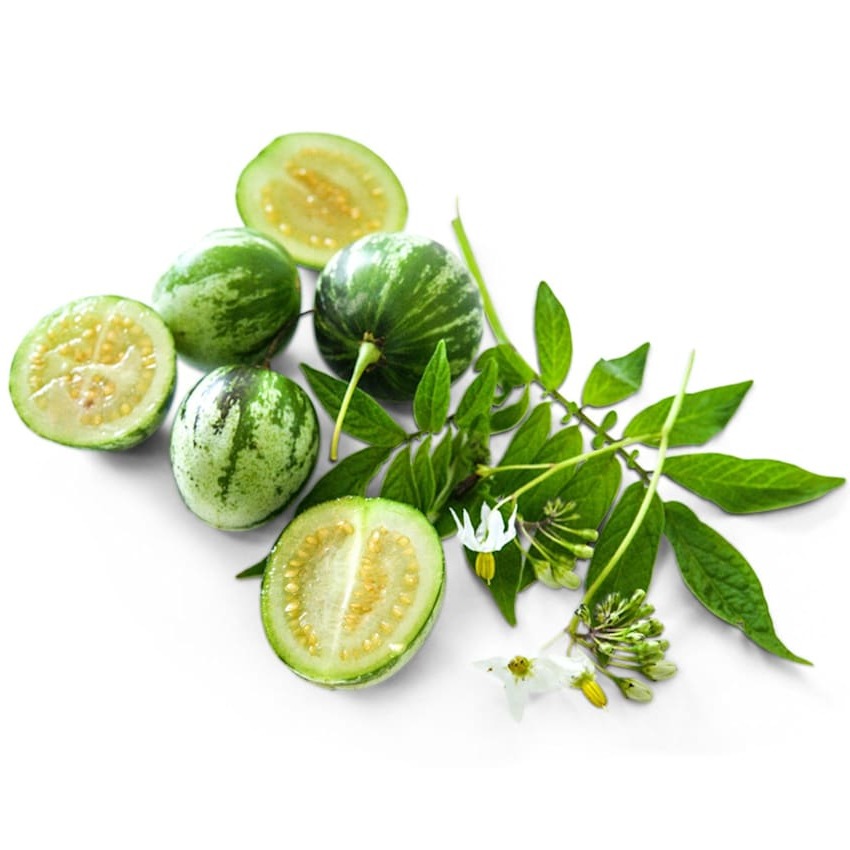 Tzimbalo Melon Pear