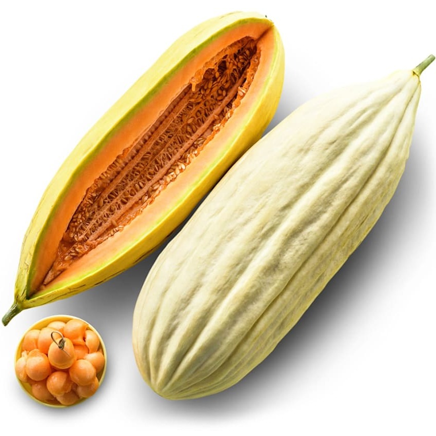 Melão Banana