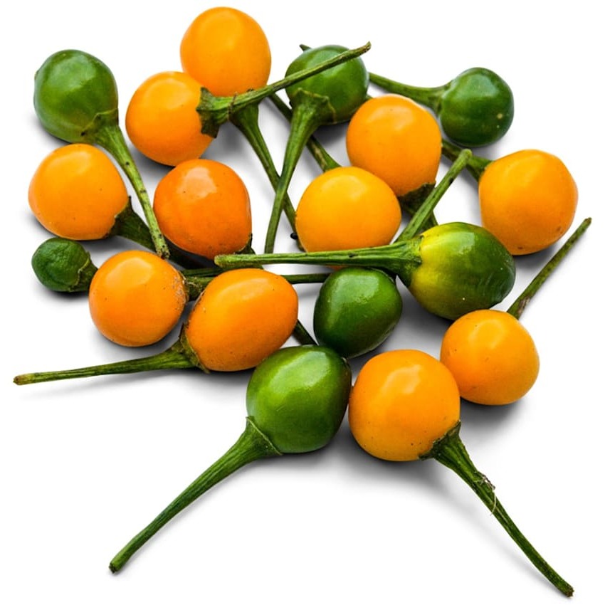 Pimenta e Pimentão