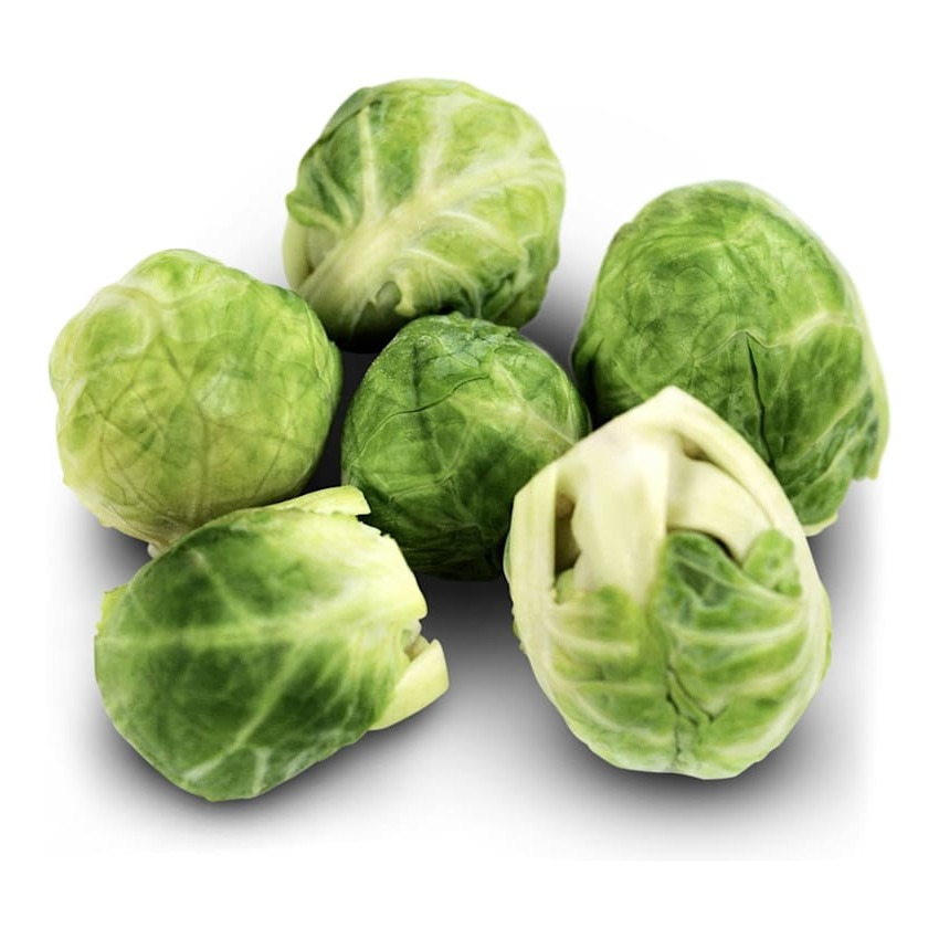 Couve-de-Bruxelas Groninger