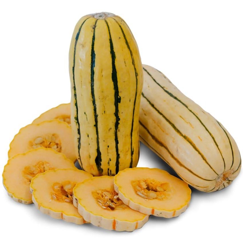 Abóbora Delicata