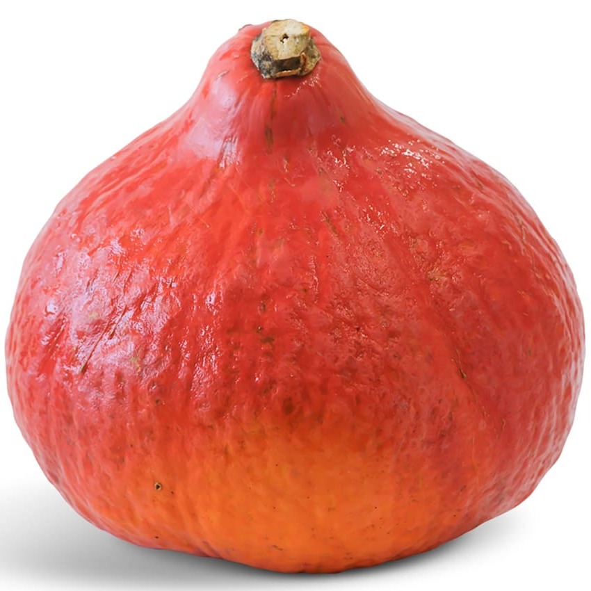Abóbora Red Kuri (Hokkaido)