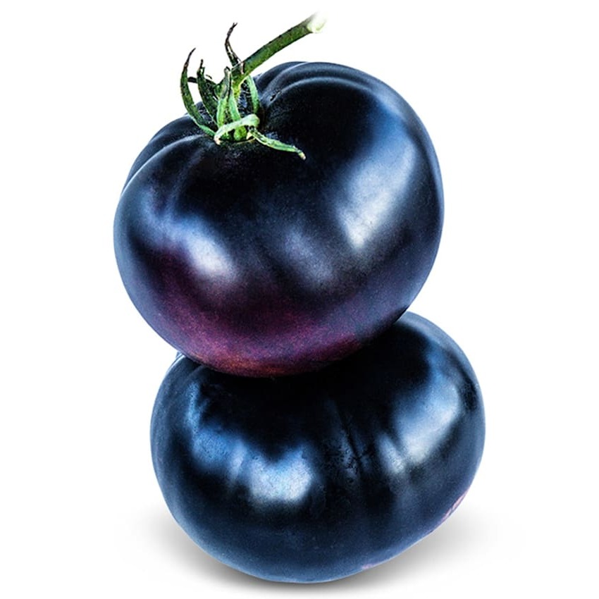Tomate Black Beauty