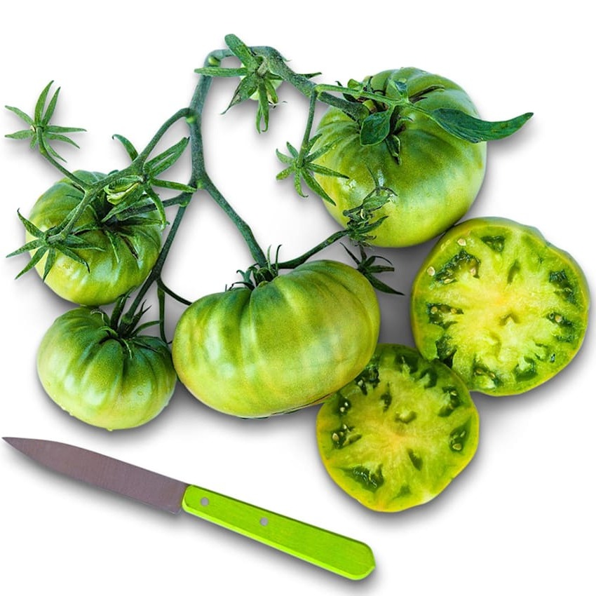 Tomate Verde da Tia Ruby