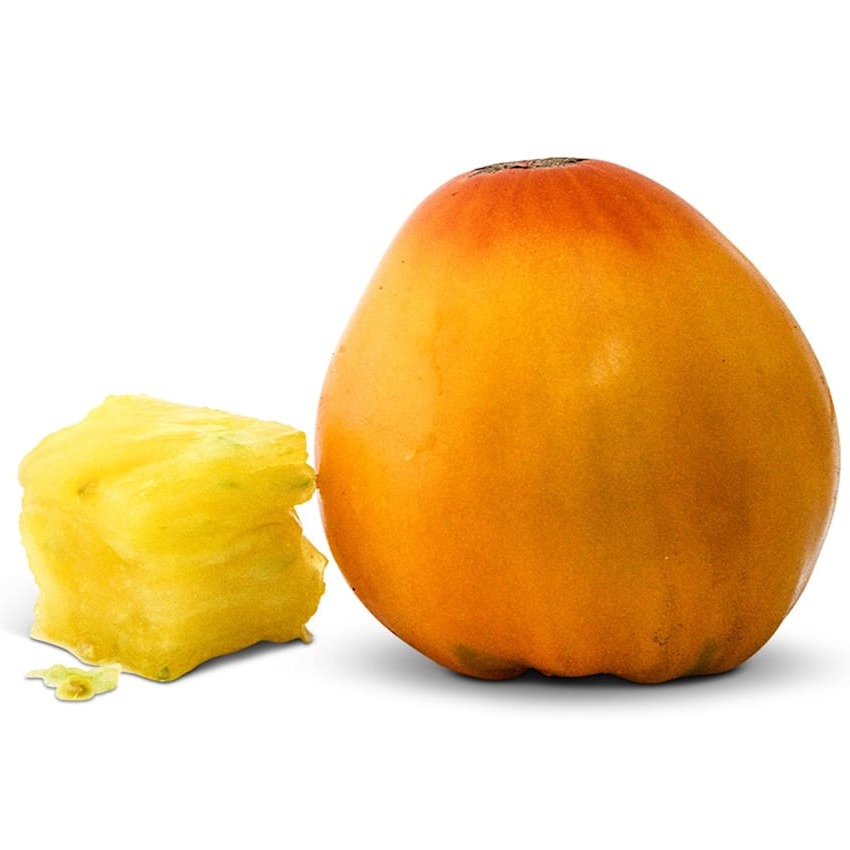 Tomate Rei Dourado da Sibéria