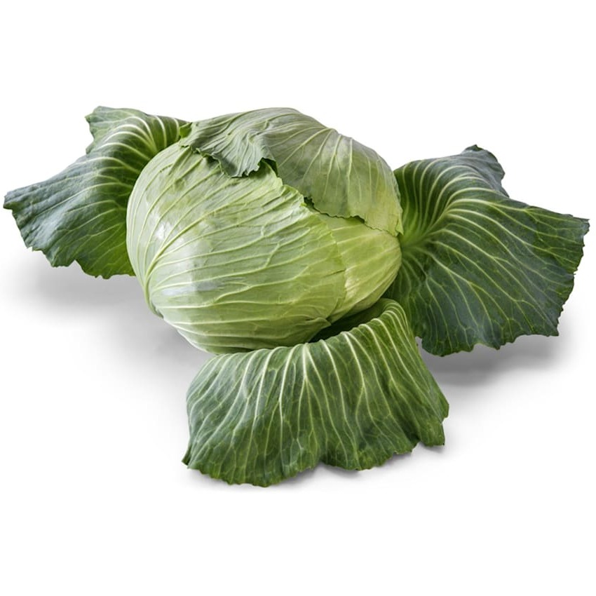 Cabbage Seeds, Brunswick