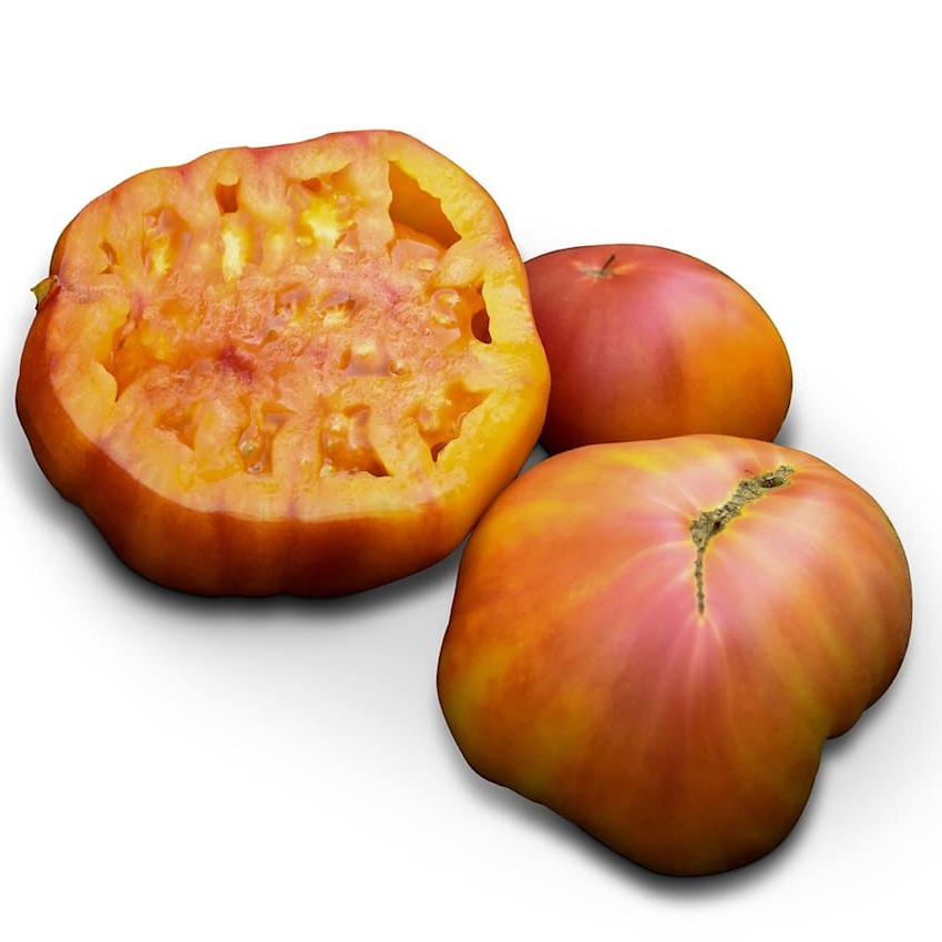 Tomato Seeds, Big Rainbow