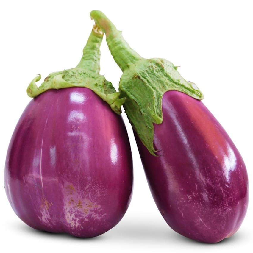 Eggplant Seeds, Rosita