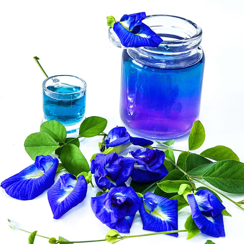 Butterfly Pea Seeds, Thai Blue