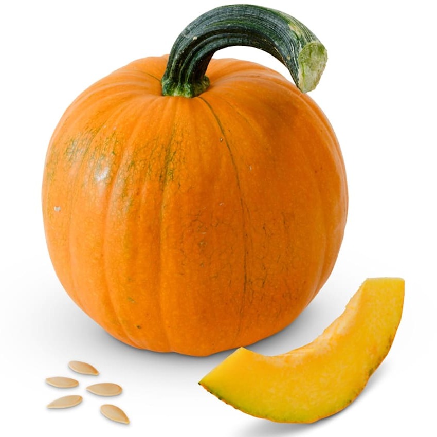 Winter Squash Seeds, New England Sugar Pie Pumpkin