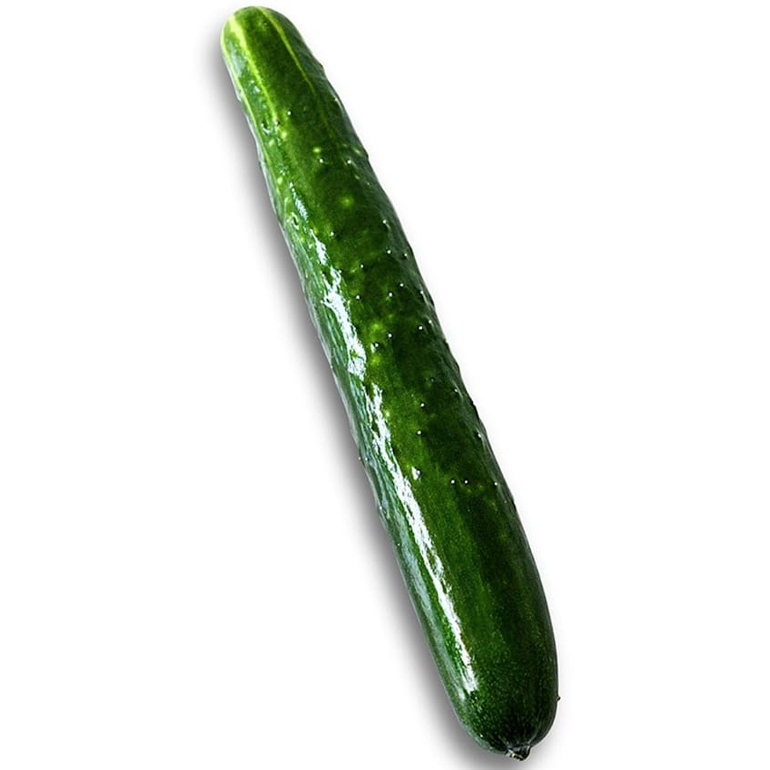 Cucumber Seeds, Aonaga Jibai