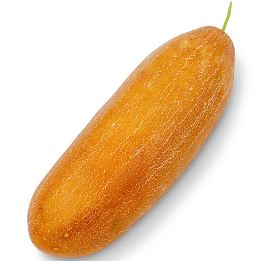 Cucumber Seeds, Poona Kheera