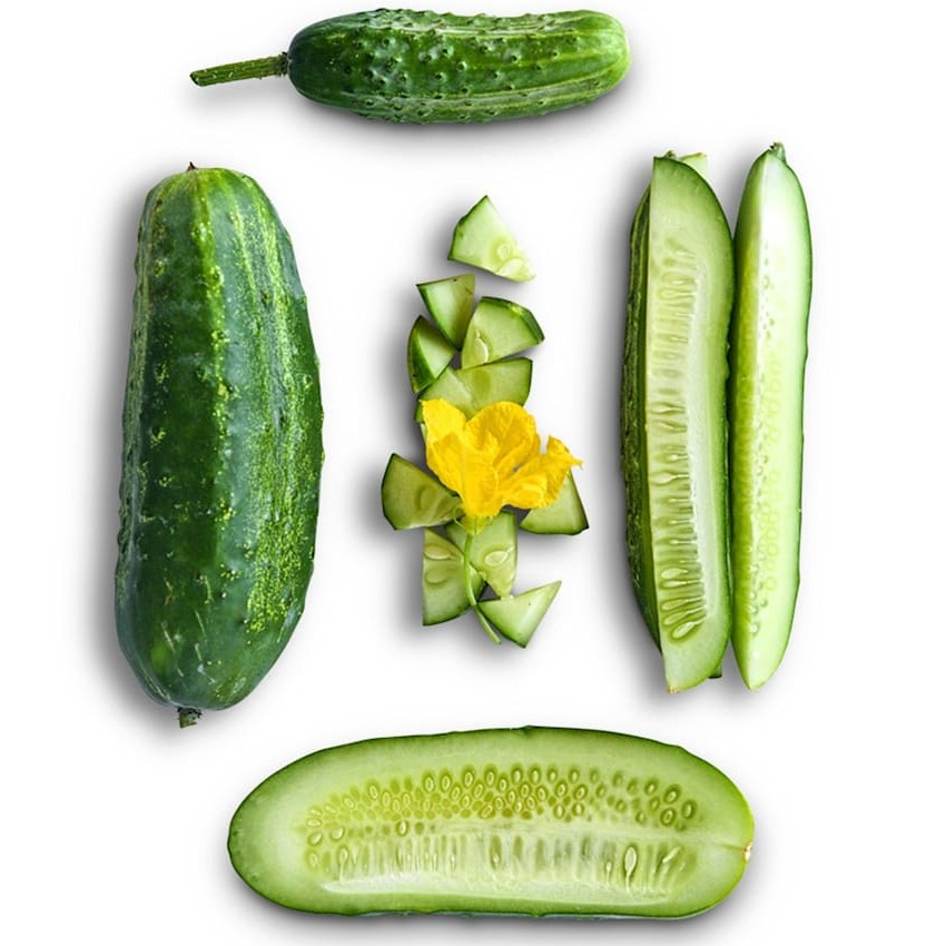 Cucumber Seeds, Boston Pickling