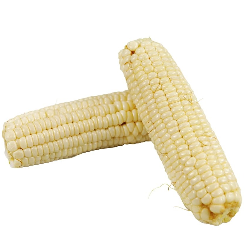 Corn Seeds, Stowell's Evergreen Sweet