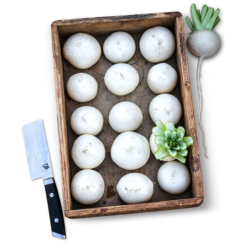 Turnip Seeds, Tokinashi