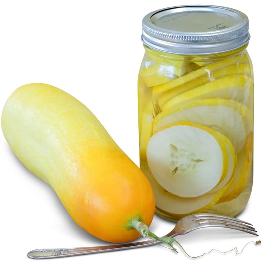 Pepino Amarelo Holandês Gele Tros