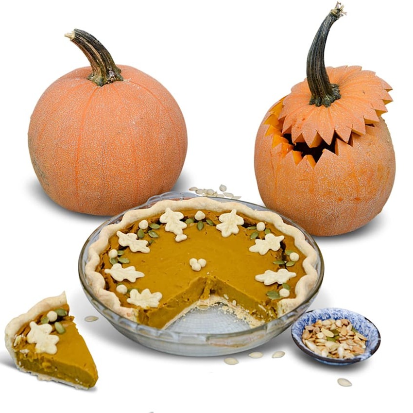 Abóbora Luxury Pie