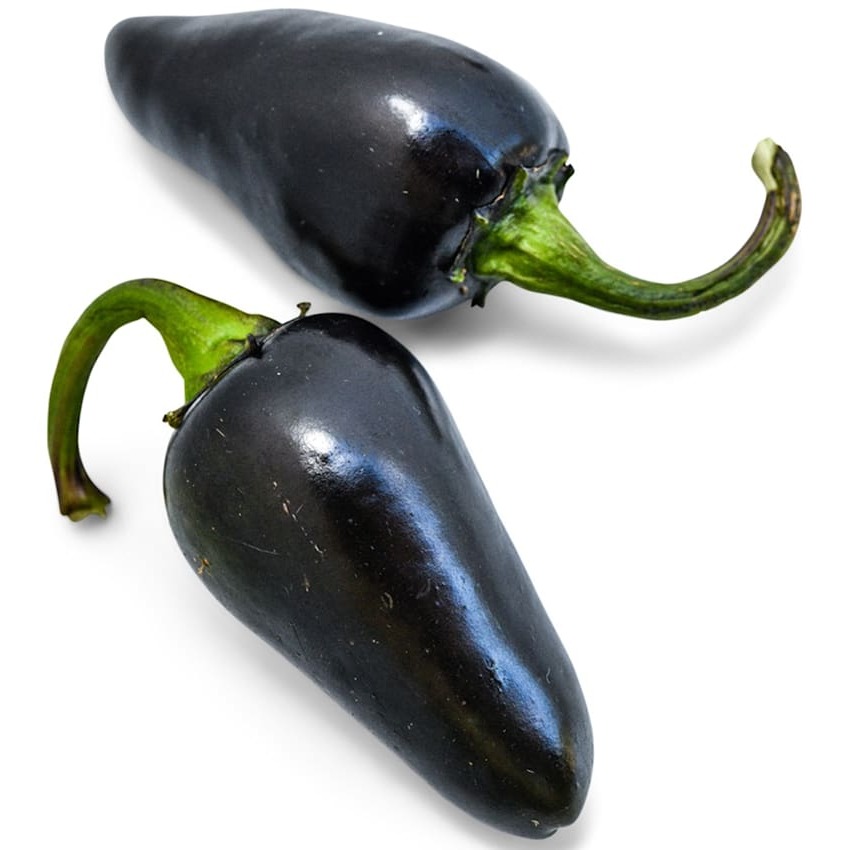 Pimenta Black Hungarian