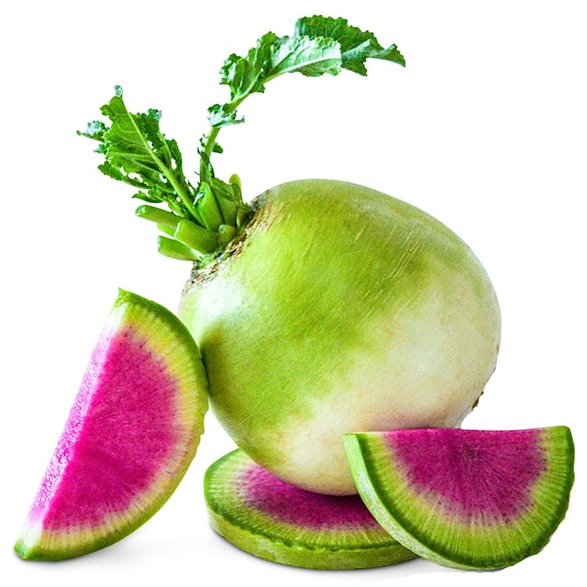 Rabanete Melancia