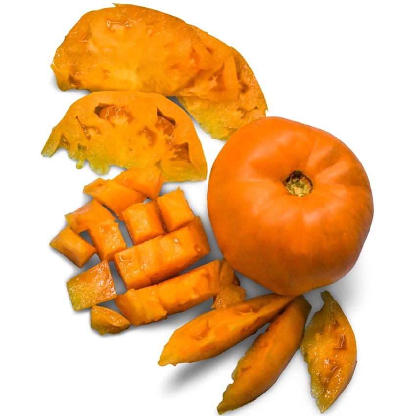 Tomate Amarelo Dr. Wyche