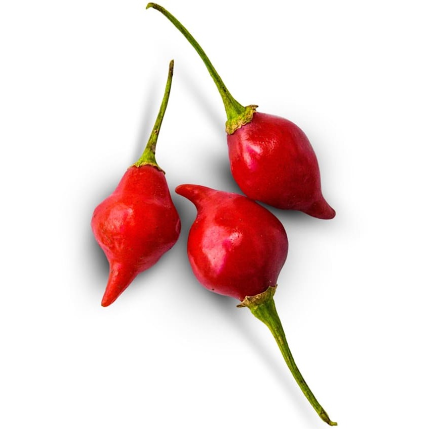 Pimenta Biquinho Vermelha