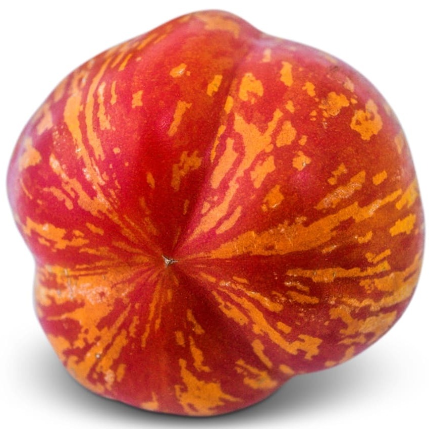 Tomate Get Stuffed