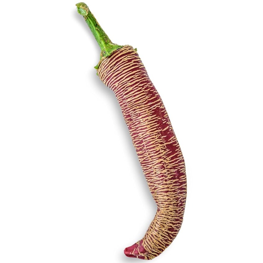 Pimenta Rezha Macedônia