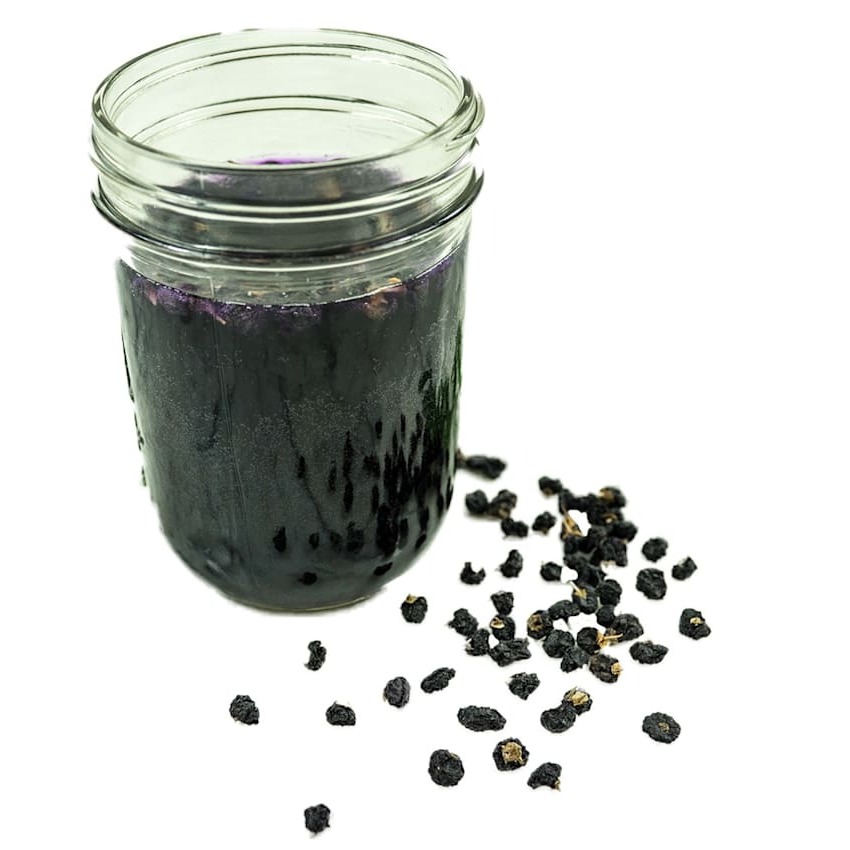 Goji Berry Preta (Wolfberry)