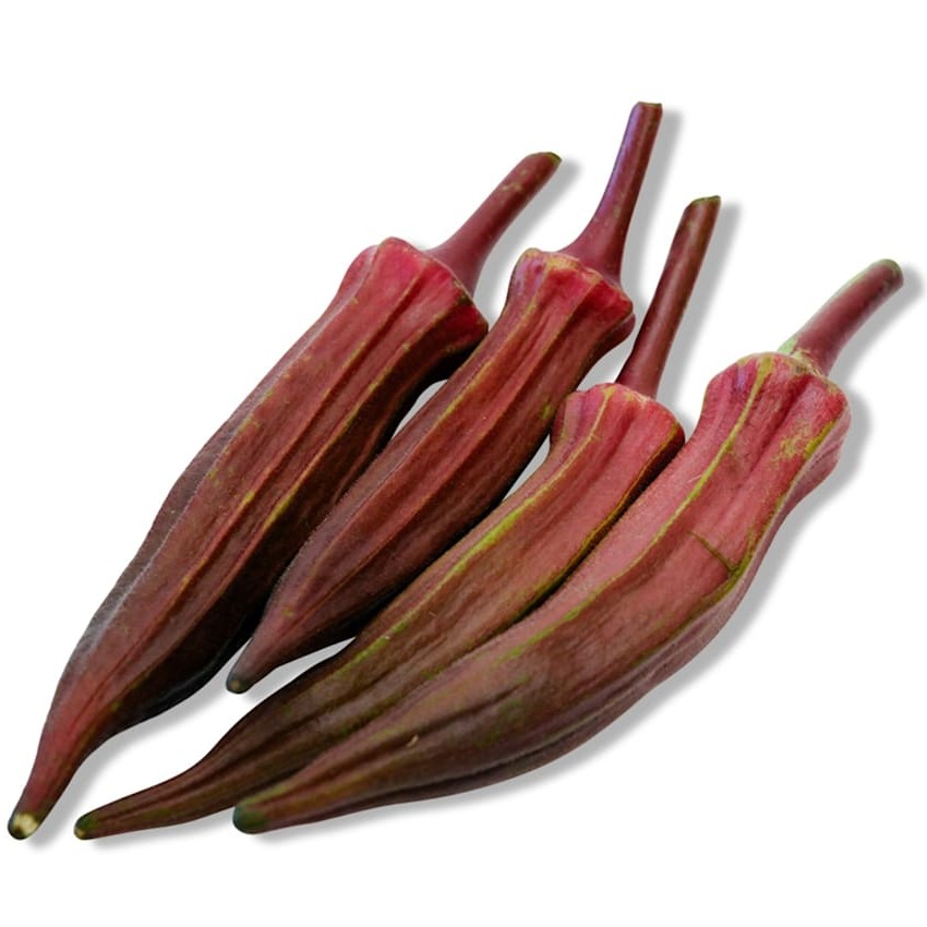 Quiabo Burgundy