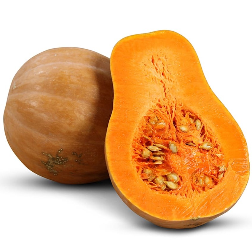 Abóbora Sucrine du Berry