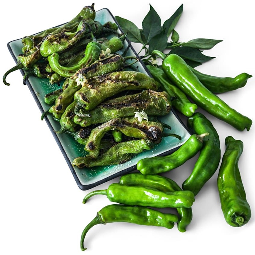 Pimenta Shishito