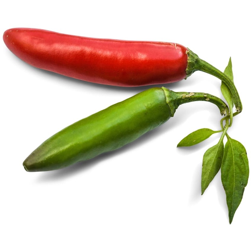 Pimenta Serrano Tampiqueño