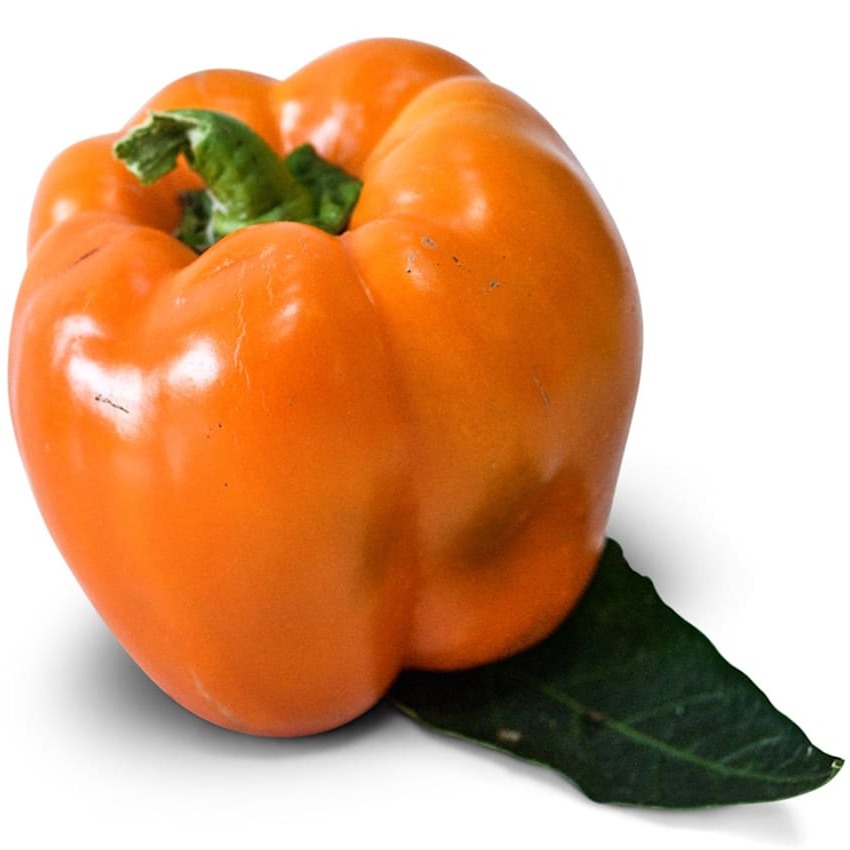 Pimentão Sino Laranja