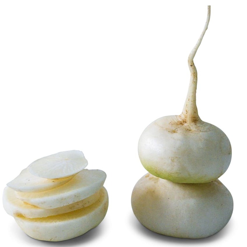 Rabanete White Hailstone