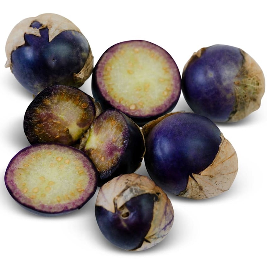 Tomatillo Roxo Cobán